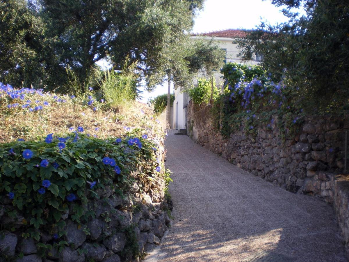 Polytropon Apartments Κάστρο Εξωτερικό φωτογραφία