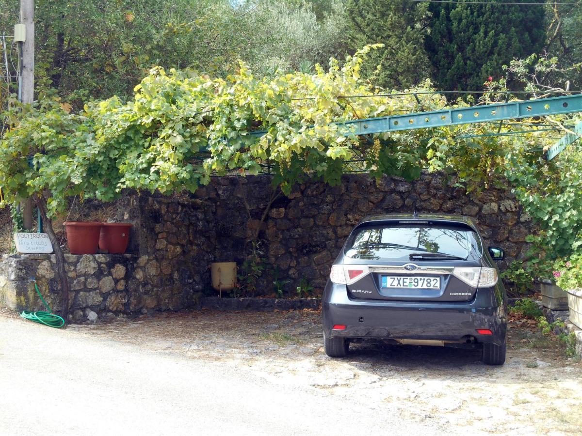 Polytropon Apartments Κάστρο Εξωτερικό φωτογραφία