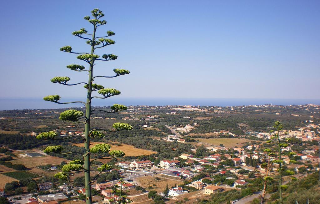 Polytropon Apartments Κάστρο Εξωτερικό φωτογραφία